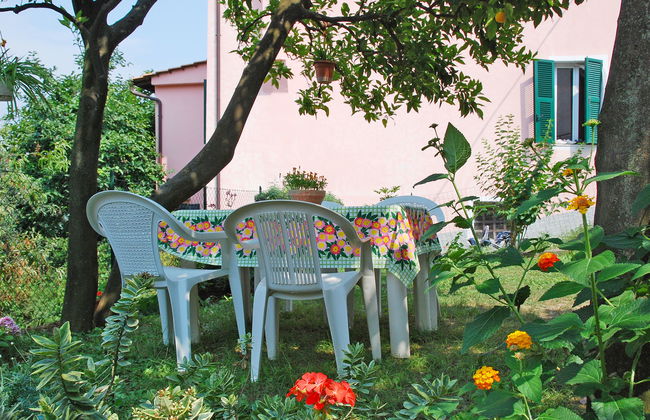 Elisa (DOL127) - Foto 1