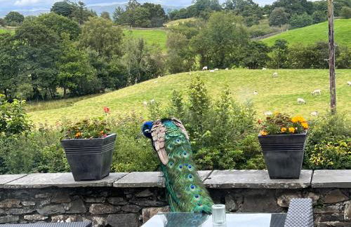 Treeside woodhouse - Foto 11