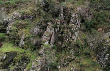 A Casa da Natália - Foto 31