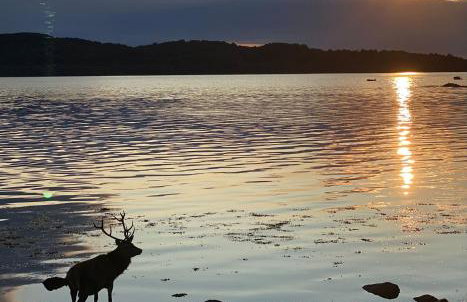 Tigh na Breac - Great Outdoor Activity Location Oban - Foto 45
