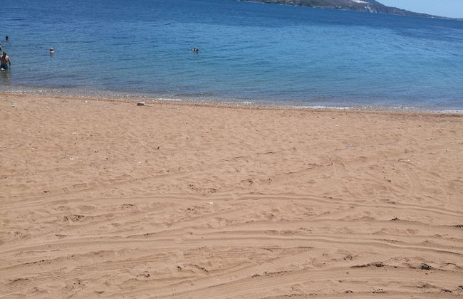 Alekos Beach Houses-Amalia - Foto 20