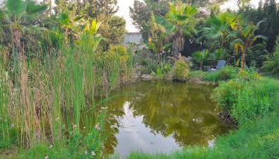 Villa Lago 2 - Photo 3