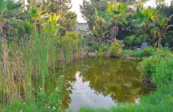 Villa Lago 2 - Photo 3