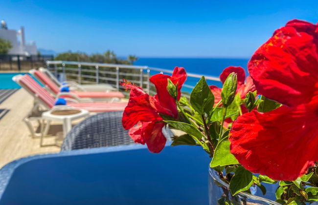 Sea Cliff Villa, 4 Beds, Sleeps 2- 8, Free Wifi, - Foto 37