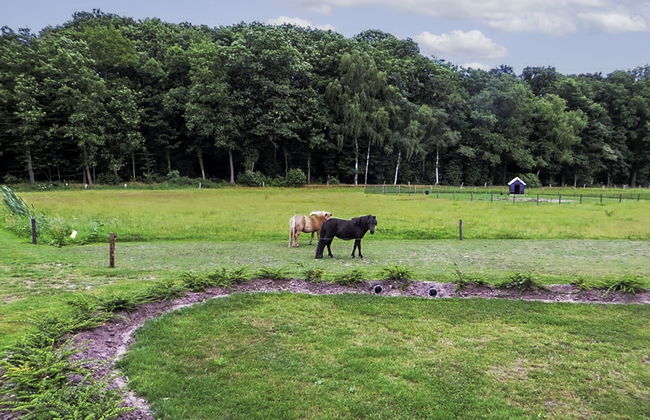 Familieboerderij - Foto 15