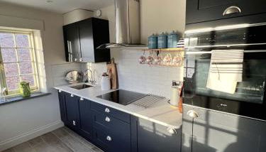 Oystercatcher - Foto 2