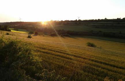 Cal Carulla - Foto 139