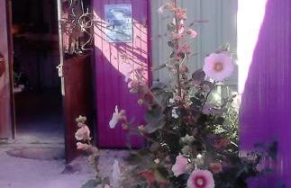 La maison du marais - Foto 12