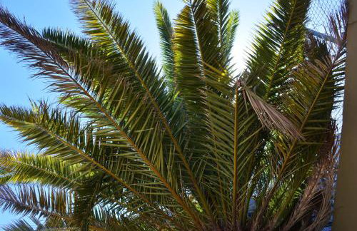 Penthouse Lomo Alto - Foto 18