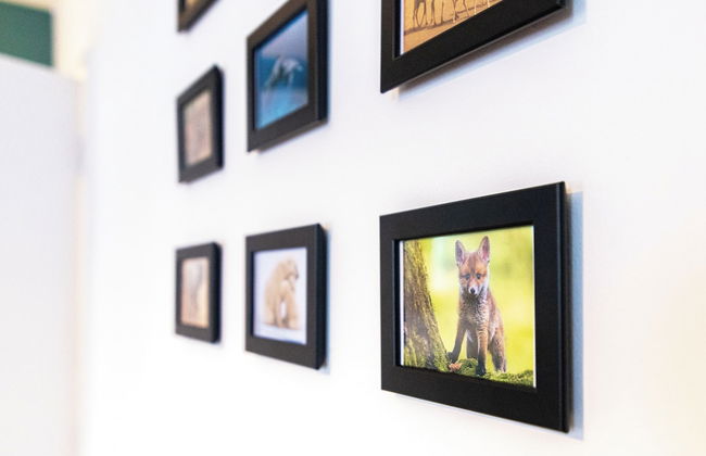 Harcourt Apartments - Foto 28