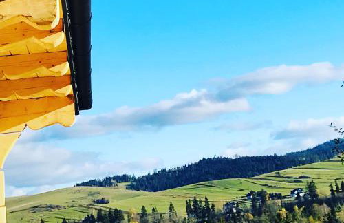 Domki Na Wypasie - Sauna & balia - Foto 28