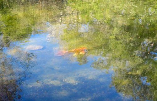 Serene Hill Country Wildlife Sanctuary with Porch - Photo 25