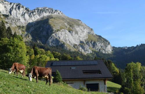 Le Perray Alpine Lodge - Photo 40