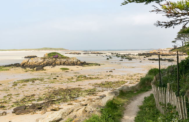 Va Zi Bihan - Foto 23