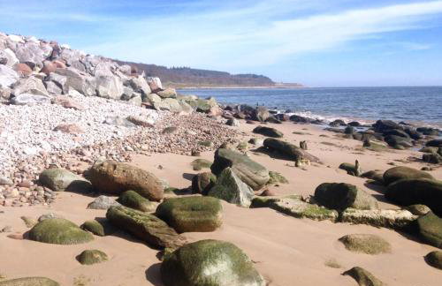 The Sheriffs Lodge - Photo 72