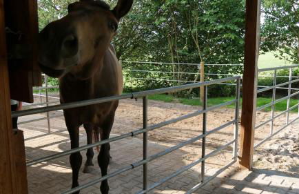 Ride & Relax Ferienwohnung, FeWo, Kurzurlaub - Foto 8