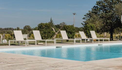 Gli Ulivi di Gino - Foto 2