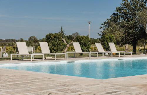 Gli Ulivi di Gino - Foto 2