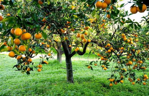 Cozy Home In Rodi Milici With Wifi - Foto 19