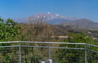 Villa Marlia - Photo 47