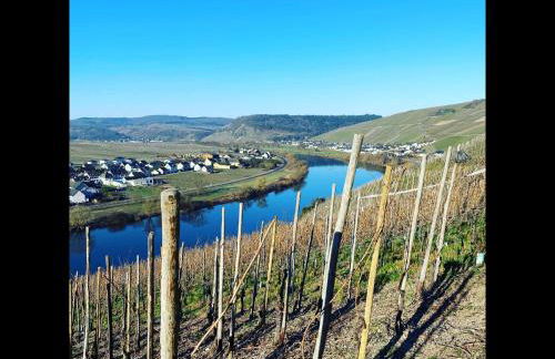 NEU! Ferienwohnung Atelier 7 - Photo 7