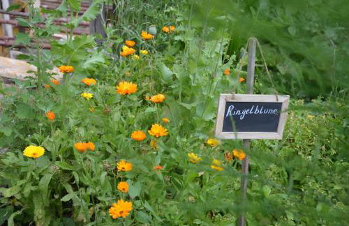 Ausserwegerhof - Photo 22