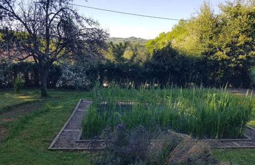 Le petit paradis, mini maison,nature,confort,calme - Foto 31