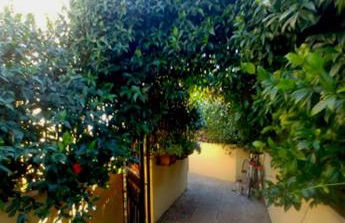 Leda's Home - Foto 40