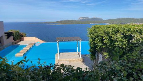 La tartaruga - Foto 2