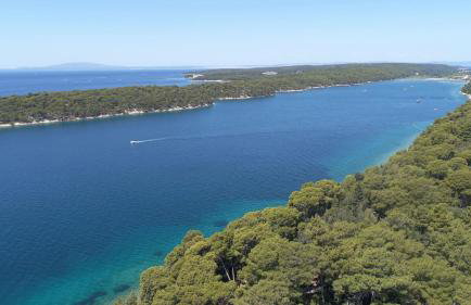 House Gajarda - Foto 32