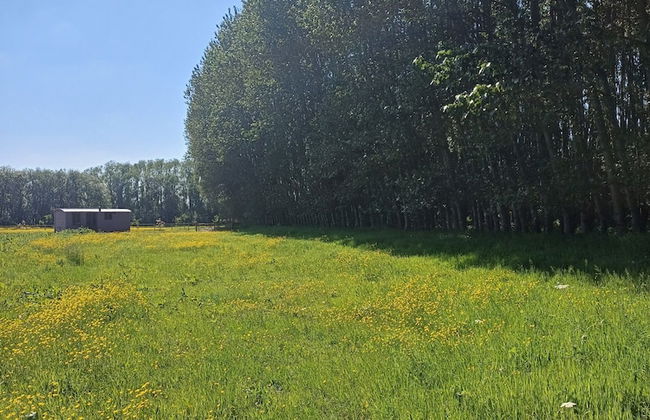 The Heartwood - Luxury Cabin Near York - Foto 19