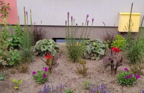 Hory Opawskie - Foto 3