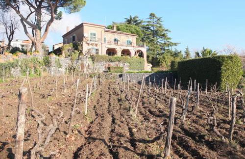 Uvatanta Cottage - Foto 24