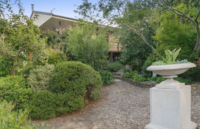 Shirri Mirri - Foto 18