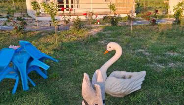 Agroktima Arta - Farm Stay - Foto 5, Garden