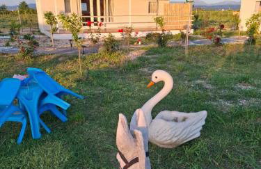 Agroktima Arta - Farm Stay - Foto 5
