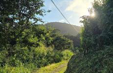 Lindo Chalé Suiço em Mulungu - Foto 33