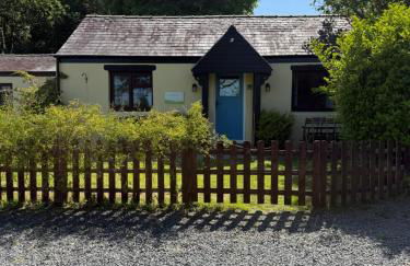 Cornflower - Photo 18