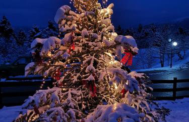 Livadaki Village - Δασικό Χωριό Λιβαδάκι - Foto 7