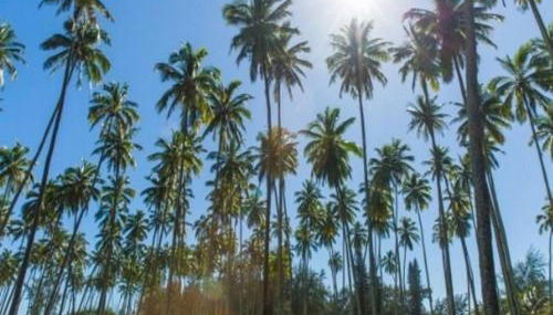 Islander on the Beach 205 - Foto 2, Other