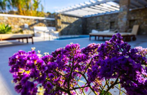 Villa Artemis (Agios Lazaros, Psarou) - Foto 17