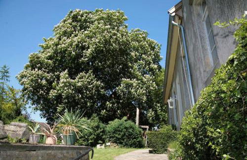 Haus Keppelborg: ZI Elisabeth mit Burgmauerblick - Foto 17