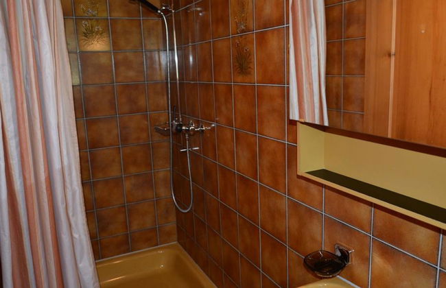 Akelei (gross) - Photo 32