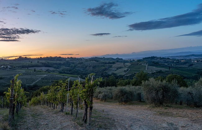 Fi-d895-gate0at - L Oliveta 6 - Foto 55