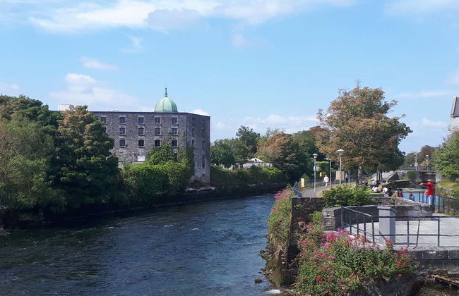 Galway Guided Walking Tour - Foto 10