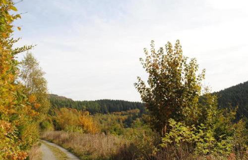 Ferienwohnung in Madfeld nahe Wald - Foto 37