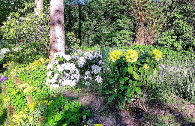 5 Person Holiday Home in Middelfart - Foto 17