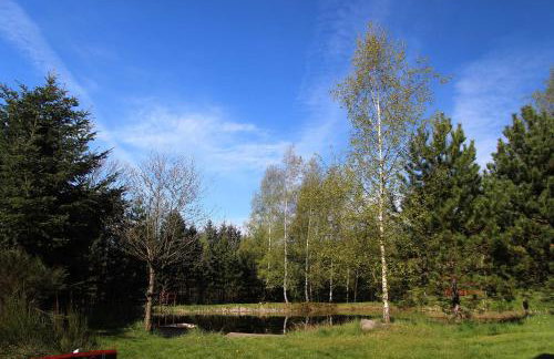 Hlebówka siedlisko w Sudetach - Foto 40