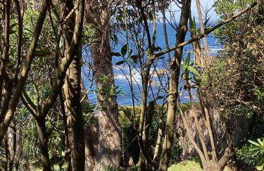 Precioso estudio en primera línea frente a las islas Cíes - Foto 27