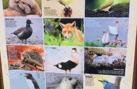 WL56 - FREE WIFI -Amazing Cosy Three Bedroom Mobile Home with DECKING Haggerston CASTLE Holiday Park - ENTERTAINMENT PASSES NOT INCLUDED! - Foto 16